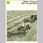 Massey Ferguson Rake